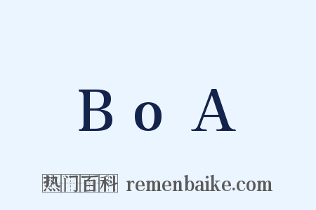 BoA是什么意思的图片